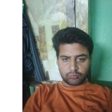 Abhishek Singh-Freelancer in New Delhi,India