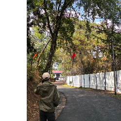 Edward-Freelancer in Shillong,India