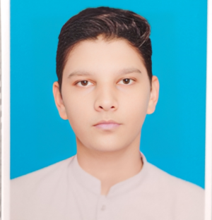 Sham Ali-Freelancer in Jhelum,Pakistan