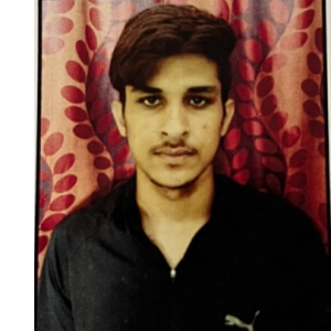 Saurabh Jorwal-Freelancer in Jaipur,India