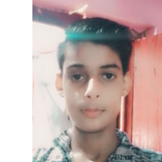Krish Kundu-Freelancer in Jind,India