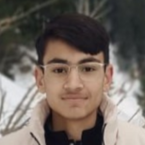 Behzad Ahmed-Freelancer in Abbottabad,Pakistan
