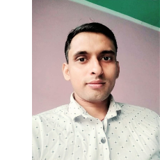 Raja Kumar-Freelancer in New Delhi,India