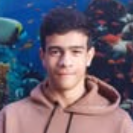 Abdelrahman Moharram-Freelancer in Damietta,Egypt