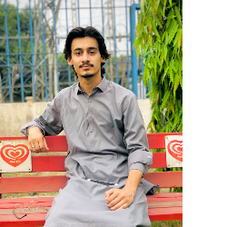 Sahibzada Attaullah-Freelancer in Peshawar,Pakistan