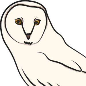 Owl-Freelancer in Silchar,India