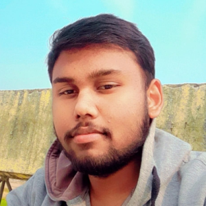 Prateek Sharma-Freelancer in Ghazipur,India