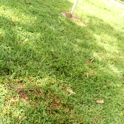 Aarav Mehta-Freelancer in Kiuu,Kenya