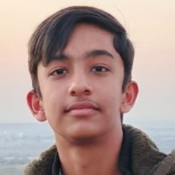 Muhammad Paracha-Freelancer in Karachi,Pakistan