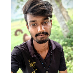 Sudip Paul-Freelancer in Tirupati,India