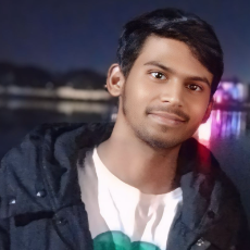 Sahil Bansod-Freelancer in Birsi,India