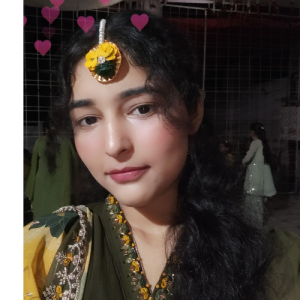 Nuzhat Khan-Freelancer in shamli,India