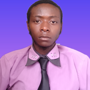 Hudson Kimzly G-Freelancer in Nyeri,Kenya