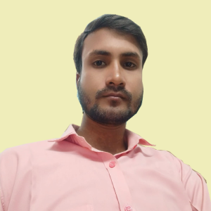 sktaskerhub-Freelancer in Patna,India