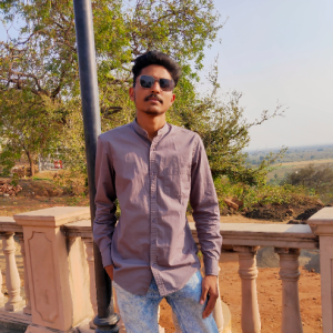 Pratik Petkar-Freelancer in Bhopal,India