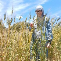Warda Ben-Freelancer in Bouzareah,Algeria