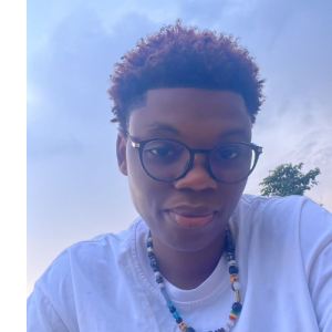 Richard S. Odiebo-Freelancer in Lagos,Nigeria