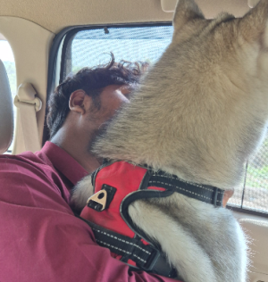 Y.Sumith Babu-Freelancer in Gooty,India