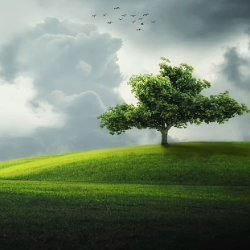 Pradeep Kumar Vana-Freelancer in Srikakulam,India