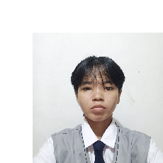 Cazerith Jude Vibandor-Freelancer in Daraga,Philippines