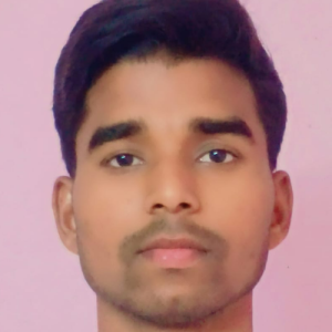 Ankit Raj-Freelancer in Patna,India