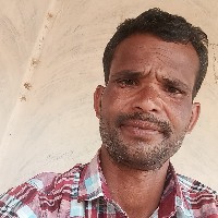 Nilendra Yadav-Freelancer in Surguja Division,India
