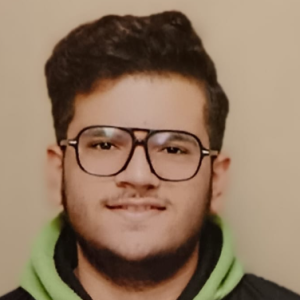 Ayush Ahuja-Freelancer in New Delhi,India