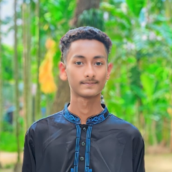 Md Sabbir-Freelancer in Bhola District,Bangladesh