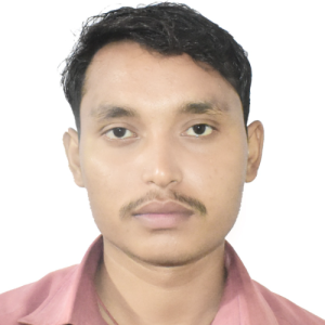Rohit Raj-Freelancer in Darbhanga,India