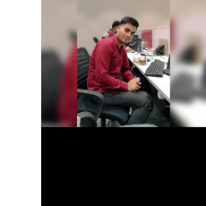 Himanshu Chauhan-Freelancer in Faridabad,India