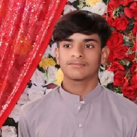 Muhammad Ahmed-Freelancer in Dera Ghazi Khan,Pakistan