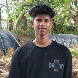 Tarun Roy Roy-Freelancer in Jagannadhapuram,India