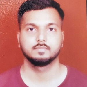 Ankit Pal-Freelancer in Delhi,India