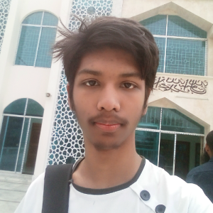 Mahfuz Ali-Freelancer in Pabna,Bangladesh