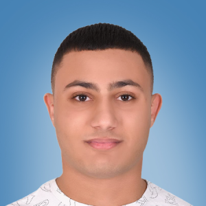 Kirollos Maher-Freelancer in ,Egypt