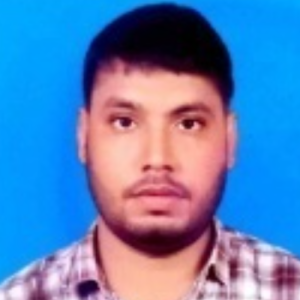 MADHAV KUMAR-Freelancer in Begusarai,India