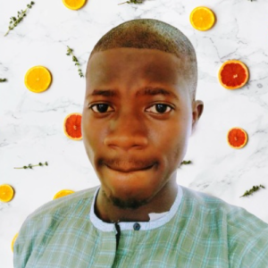 wabham-Freelancer in Ibadan,Nigeria