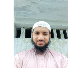 Md Mizan-Freelancer in Bhola,Bangladesh