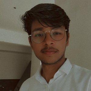Himanshu Rohilla-Freelancer in Panipat,India