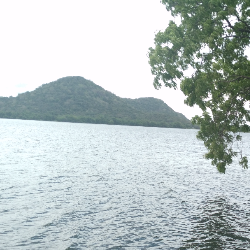 Guna-Freelancer in Polonnaruwa,Sri Lanka