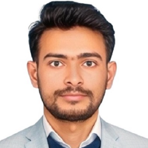 Sri Balaji Digital Seva-Freelancer in Guntur,India