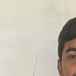 Mofizur Rahman-Freelancer in Natun Kathami,India