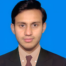 Syed M Ismail Shah-Freelancer in Minchinabad,Pakistan