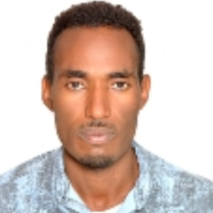 Negessa Gadisa-Freelancer in Holeta,Ethiopia