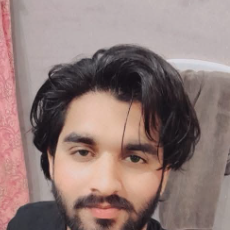 Ameer Hamza-Freelancer in Sialkot,Pakistan