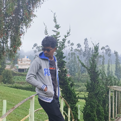 Gokul Raja S-Freelancer in Salem,India
