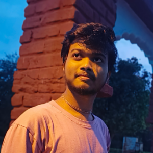 Sabuj Krishna Patra-Freelancer in contai,India