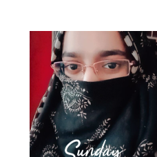 Anum Khan-Freelancer in ,Pakistan