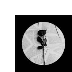 Preethi-Freelancer in Chennai,India