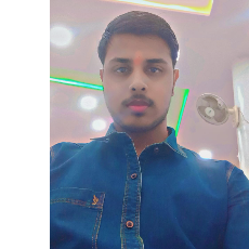 Mukul Awasthi-Freelancer in Sitapur,India